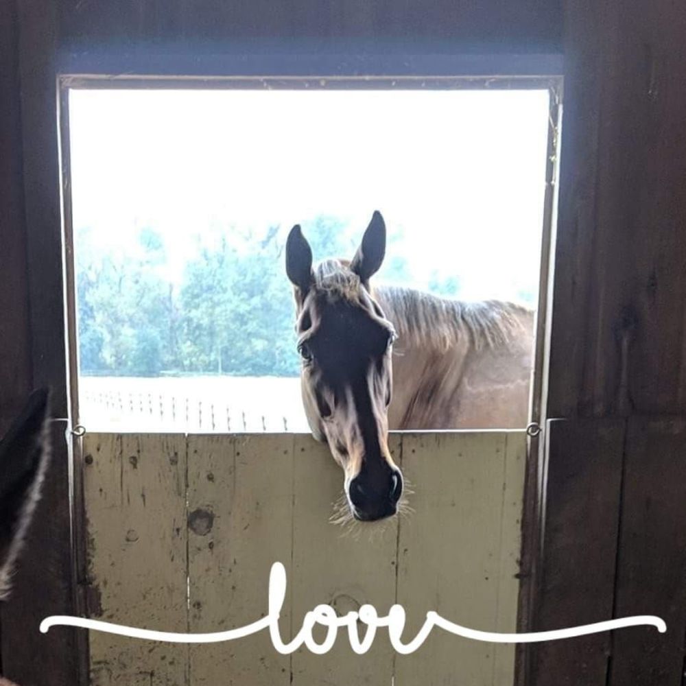 Meet your Posher, Loribeth